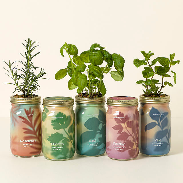 Mason Jar Indoor Herb Growing Kit - gallery image 1