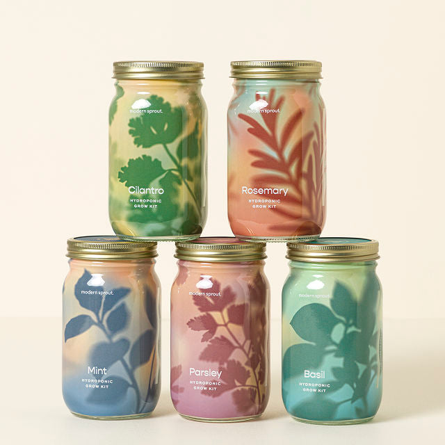 Mason Jar Indoor Herb Growing Kit - gallery image 2