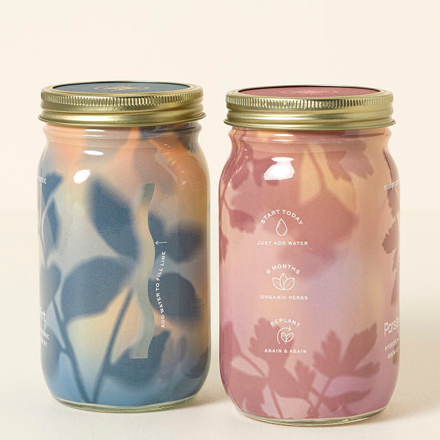 Mason Jar Indoor Herb Growing Kit - gallery image 3