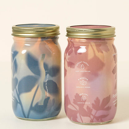 Mason Jar Indoor Herb Growing Kit - gallery image 3