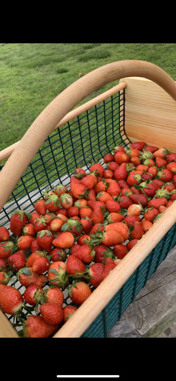 Wooden Garden Harvest Basket - gallery image 3