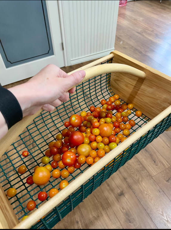Wooden Garden Harvest Basket - gallery image 5