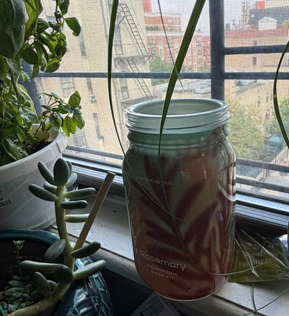 Mason Jar Indoor Herb Growing Kit - gallery image 6