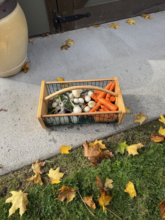 Wooden Garden Harvest Basket - gallery image 4